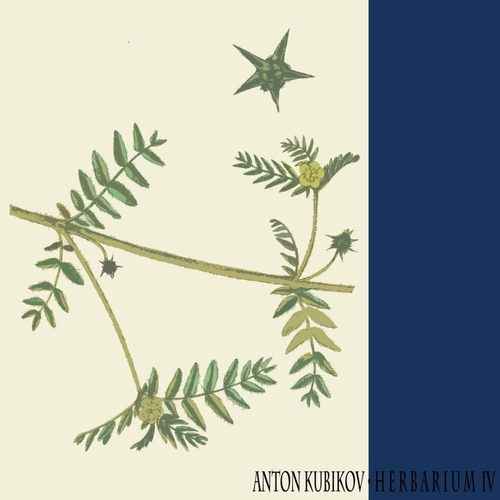 Anton Kubikov - Herbarium Part Four [RT011]